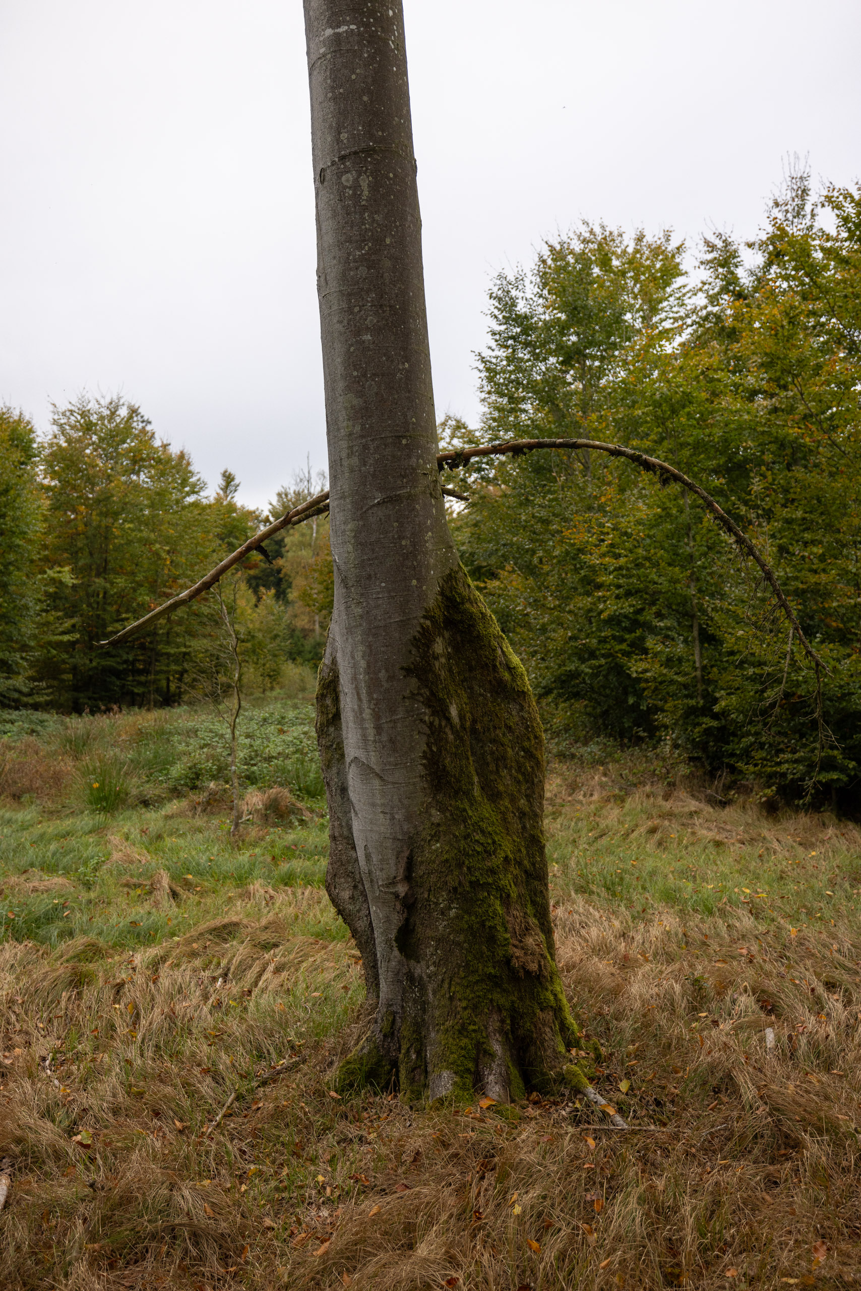 20231014115121 R5D 4013